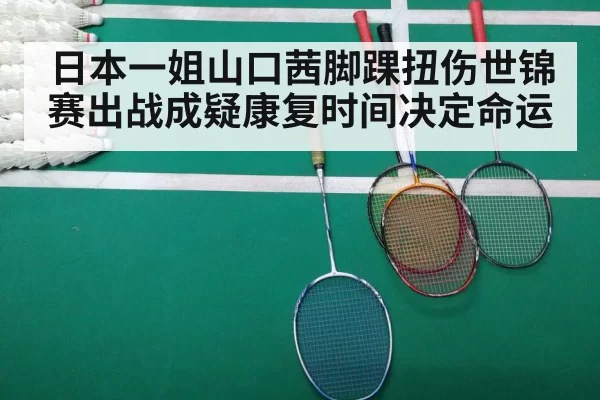 badminton court match