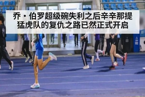 乔·伯罗超级碗失利之后辛辛那提猛虎队的复仇之路已然正式开启